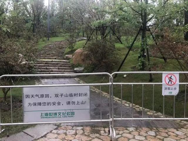 近千人冒着暴雨来打卡，还有人6点就来了！上海这里实火！