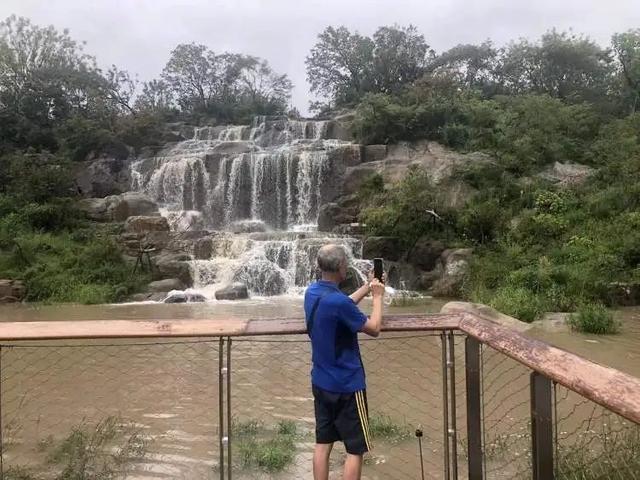 近千人冒着暴雨来打卡，还有人6点就来了！上海这里实火！