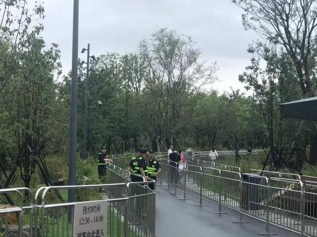 近千人冒着暴雨来打卡，还有人6点就来了！上海这里实火！