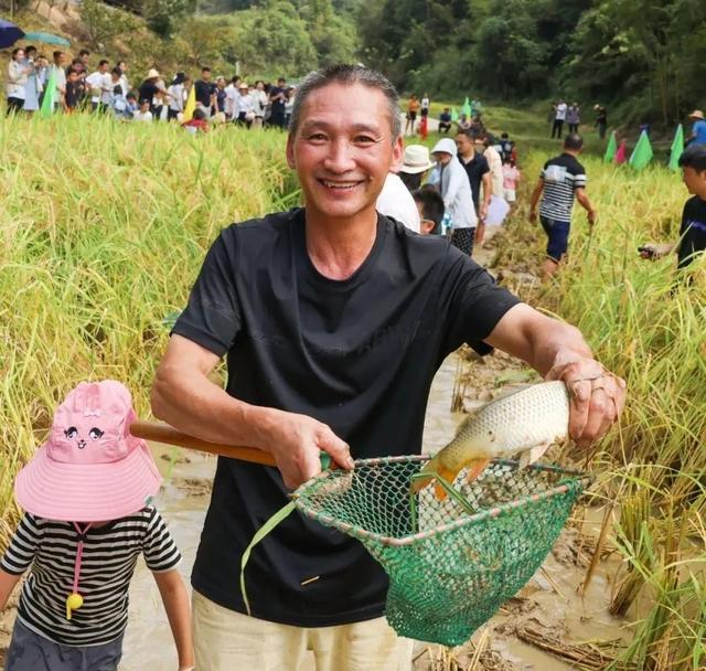 割稻子、抓稻花鱼、摸田螺……2024年建宁县伊家乡丰收节有“看头”