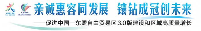 合作更通畅 层级更优质丨东博会推动广西与东盟合作持续深化