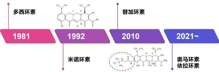 普利制药注射用替加环素国内获批上市，布局全球13国市场占有率近40%