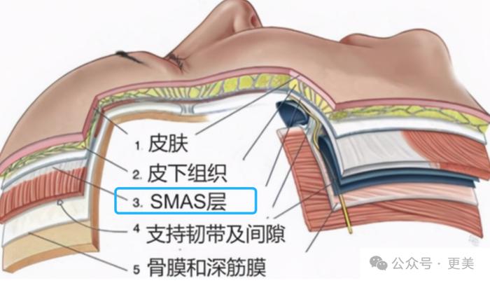 都一刀切过下颌角，为啥她削了14年没垮过？