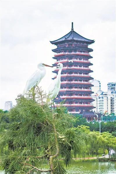 《广西日报》连版报道钦州：向海图强 乘风蝶变