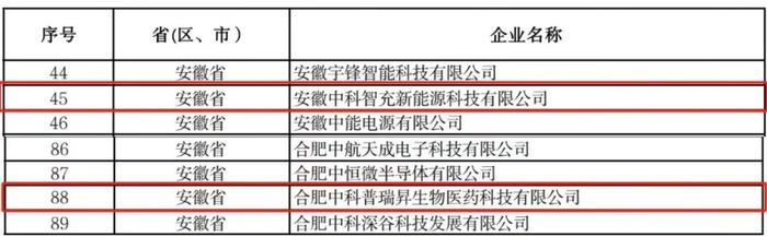 合肥创新院再添2家国家级专精特新“小巨人”企业