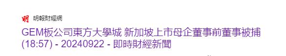 上市公司董事，因未披露贷款融资被捕