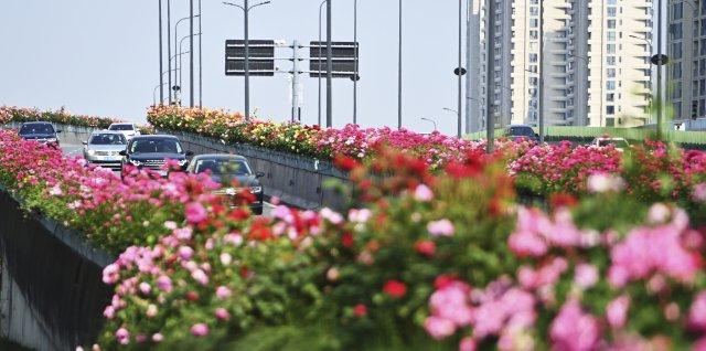 扬帆弄潮天地宽——写在杭州亚运会、亚残运会成功举办一周年之际