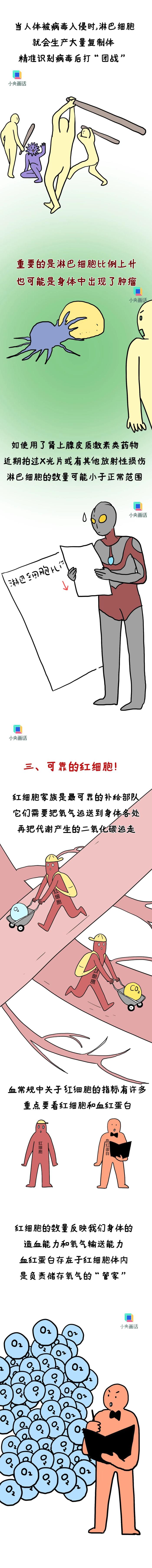 血常规报告上有箭头就是健康亮红灯？