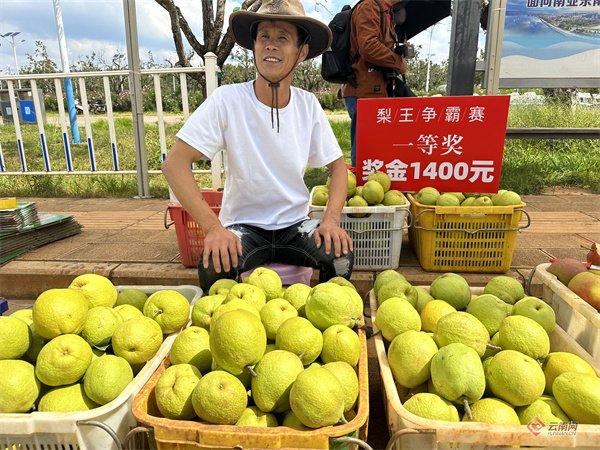 【走基层 看一线】以“梨”相待 昆明呈贡乘“梨”而行