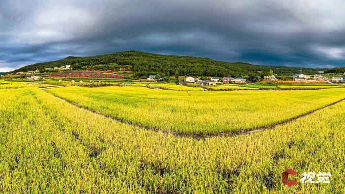 C视觉·航拍四川(95)︱秋粮丰收！又瞰四川好“丰”景