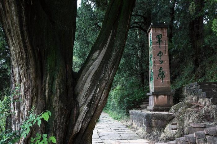 文旅为民，满足对美好生活的向往 ——写在2024四川省文化和旅游发展大会开幕之际（上）