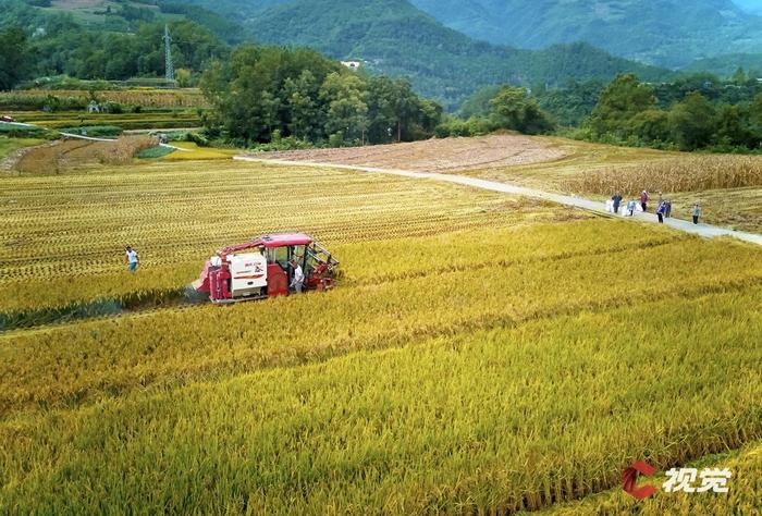 C视觉·航拍四川(95)︱秋粮丰收！又瞰四川好“丰”景