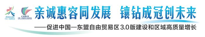 加强企业合作 共拓市场商机丨2024中国—东盟国际贸易与产业投资交流对接会在邕举办