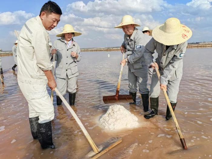 汲取历史力量 传承奋斗精神——陕西省委党校（行政学院）中青年干部培训三班学员赴定边县开展实践教学活动