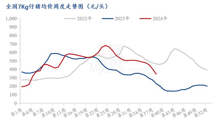 仔猪价格“腰斩” 养殖补栏现分歧 业内预期明年养猪仍盈利|行业动态