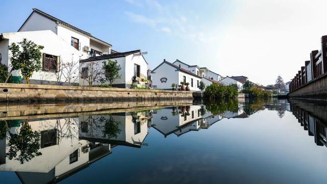 青浦分会场光影地图游线三｜水乡客厅，千里千年