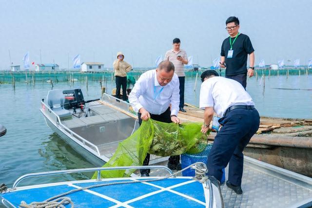 阳澄湖大闸蟹开捕第一篓 请认准“胭脂红”“庭芜绿”