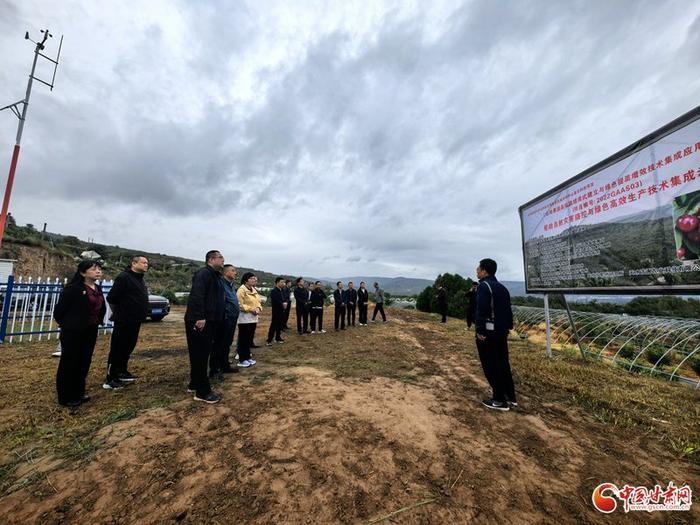 农业专家齐聚九龙山 助力甘肃老果园改造推动产业高质量发展