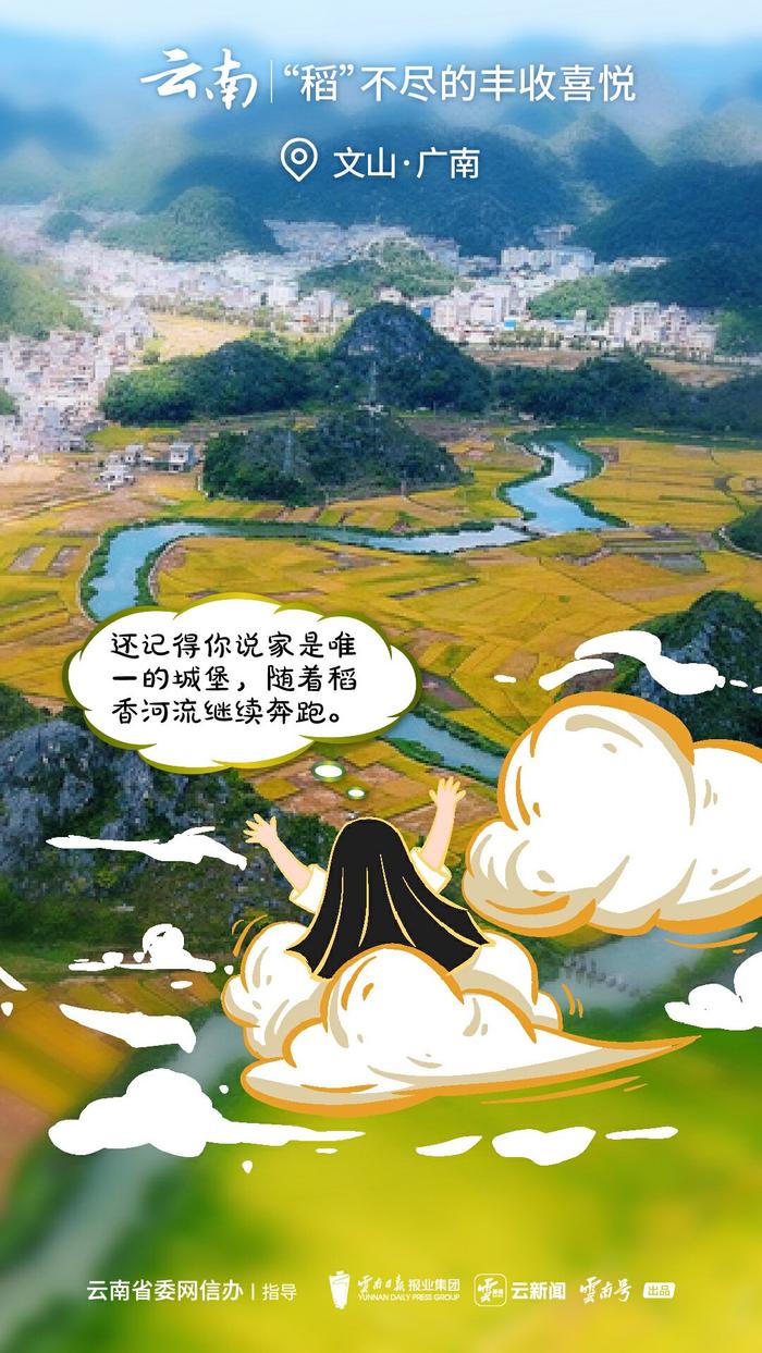 云新闻原创手绘·2024风吹稻浪丨“稻”不尽的云南美好生活