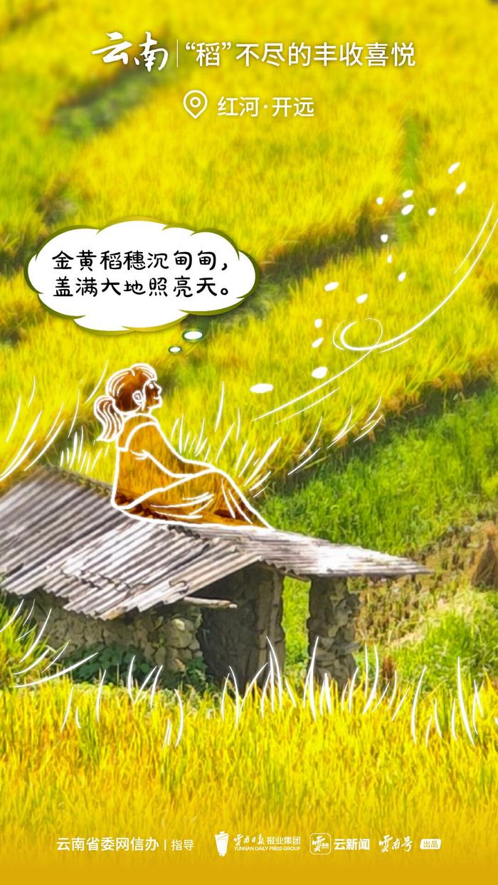 云新闻原创手绘·2024风吹稻浪丨“稻”不尽的云南美好生活