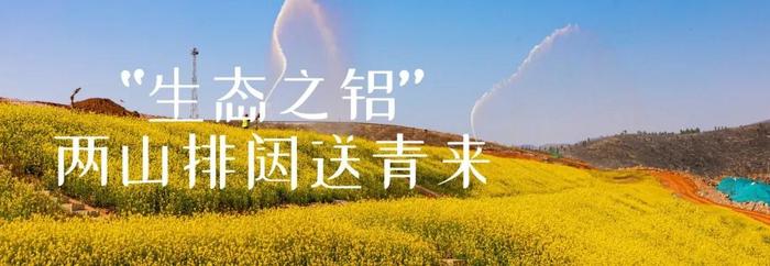 解码中铝股份：矢志锻造“特强之铝”！