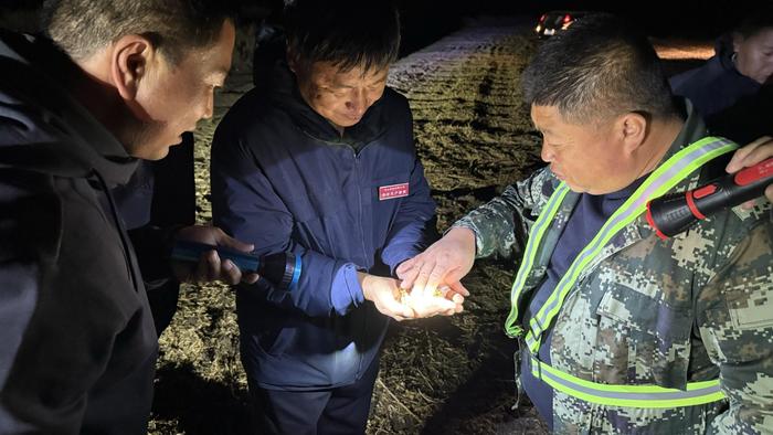 金秋大豆飘香 北大荒集团昼夜抢收忙