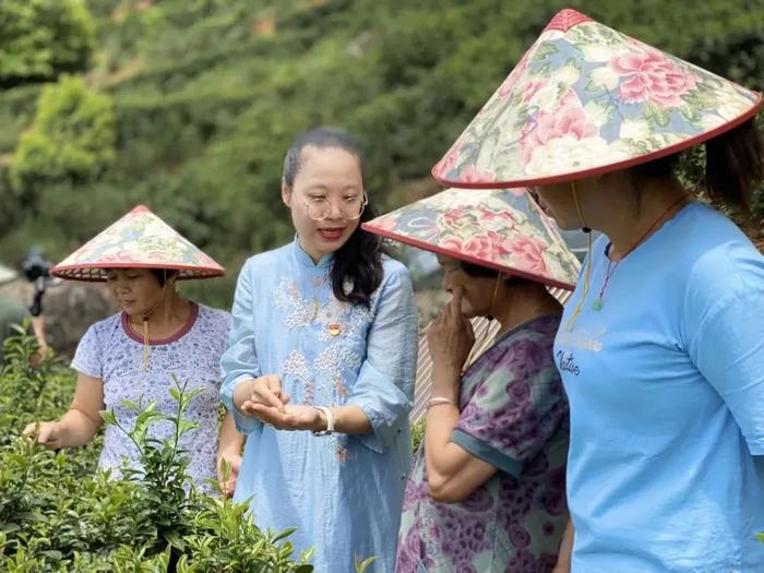 家国情·奋斗正当时丨陈凤：茶香飘万家 情浓哺乡梓