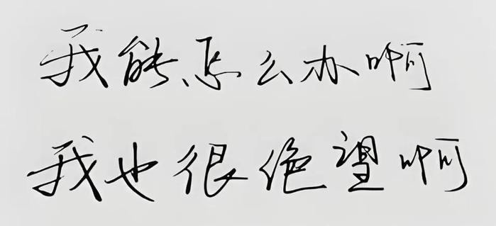 外卖骑手用上“黑科技”？新昌公安捣毁3000万元黑灰团伙