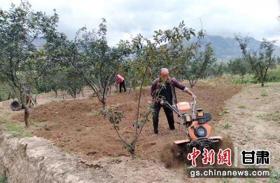 中央媒体看甘肃｜陇南武都：扎实推进耕地流出图斑整改 守牢粮食安全底线