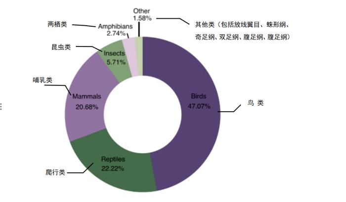 猫咪吃鱼，天生不会被鱼刺卡住吗