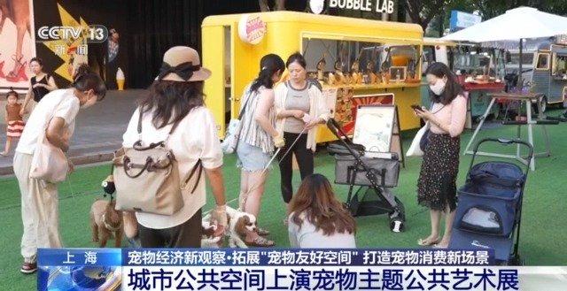 博物馆奇“喵”夜、宠物驿站……“它经济”解锁消费新密码