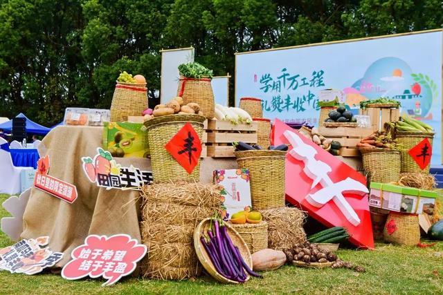 上青浦，下江南，这里“丰”景独好