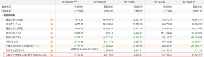 电鳗号—赫美集团子公司31亿投资新能源项目 挑战与机遇并存