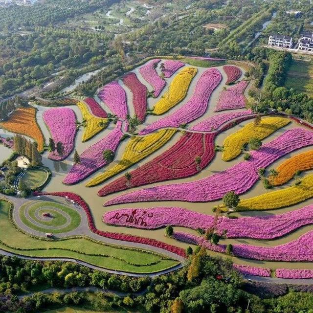 赏花灯，看花海，观古寺……上海湾区国庆活动等你来玩转！