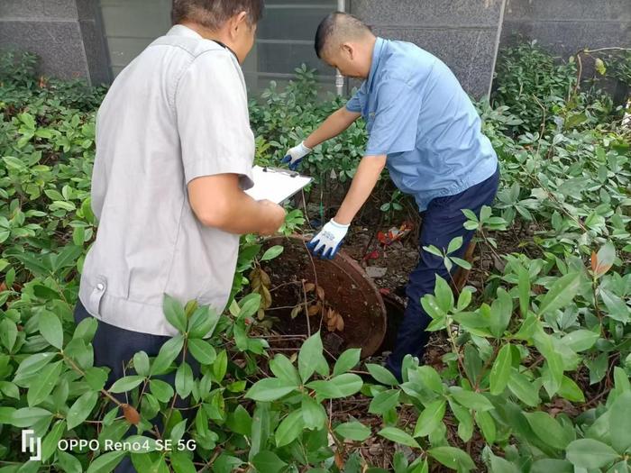 筑牢安全防线 欢度国庆假期|柏庄物业全面开展节前安全大检查