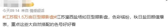 江苏现1.5万亩巨型眼影盘，网友求美妆博主试色打卡.