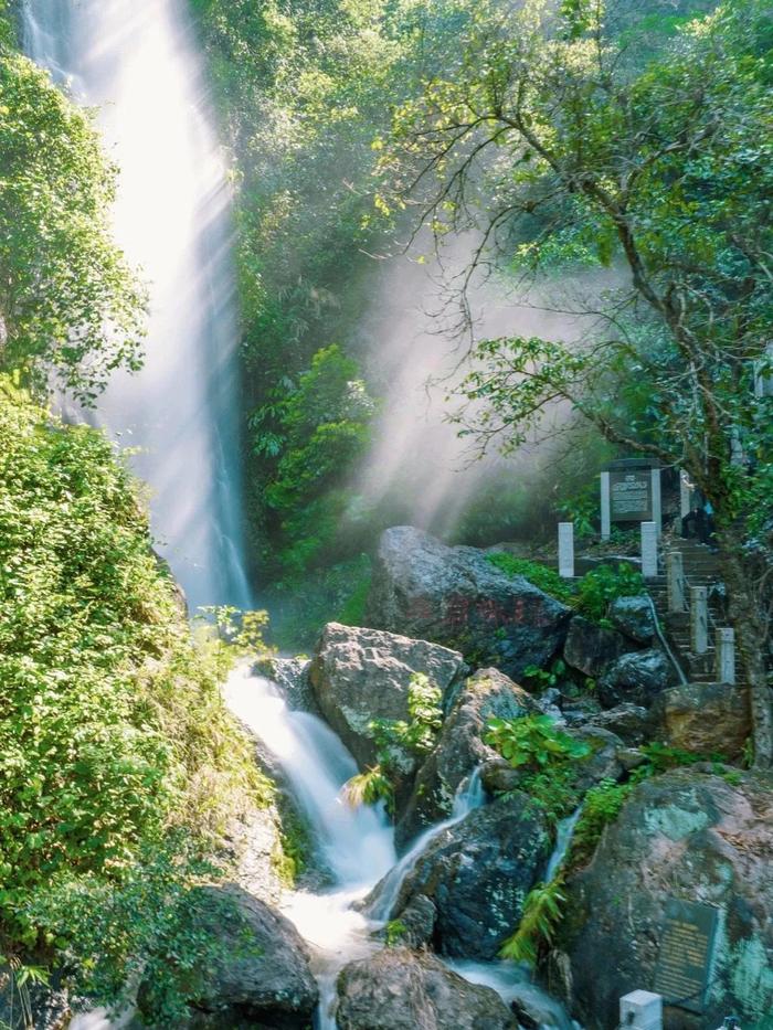 免票入园！佛山西樵山告别 “门票经济”，答题“全域旅游”