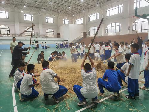 兰州市十九中恒大绿洲校区打造劳动课新样态 孩子们从种到收，全流程体验劳作之艰辛