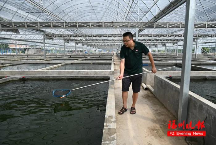 福建中医药大学这位教授，厉害了！