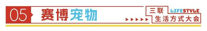 年轻人最近的生活状态，都在这10个词里