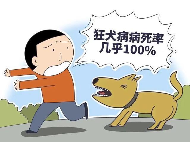 发病死亡率达100%？怎么预防和处置……丨健康总动员