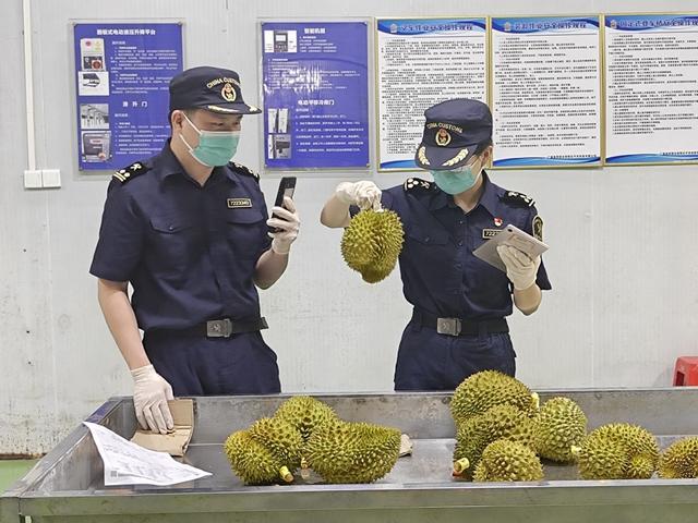 友谊关口岸智慧化升级，东南亚进口水果24小时内进入中国