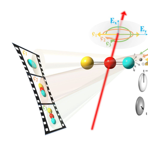 分子与原子的主要区别是什么 w300h300z1l10t10q100442.jpg
