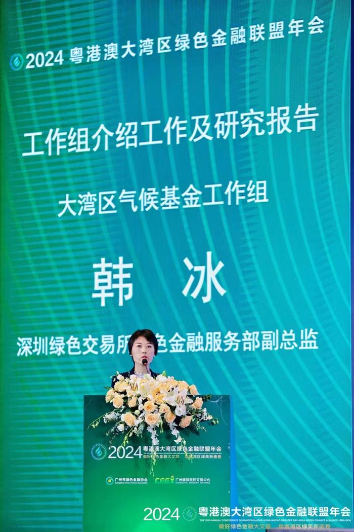 绿金联盟七大工作组披露工作成果 大湾区绿色金融互联互通进度正提速