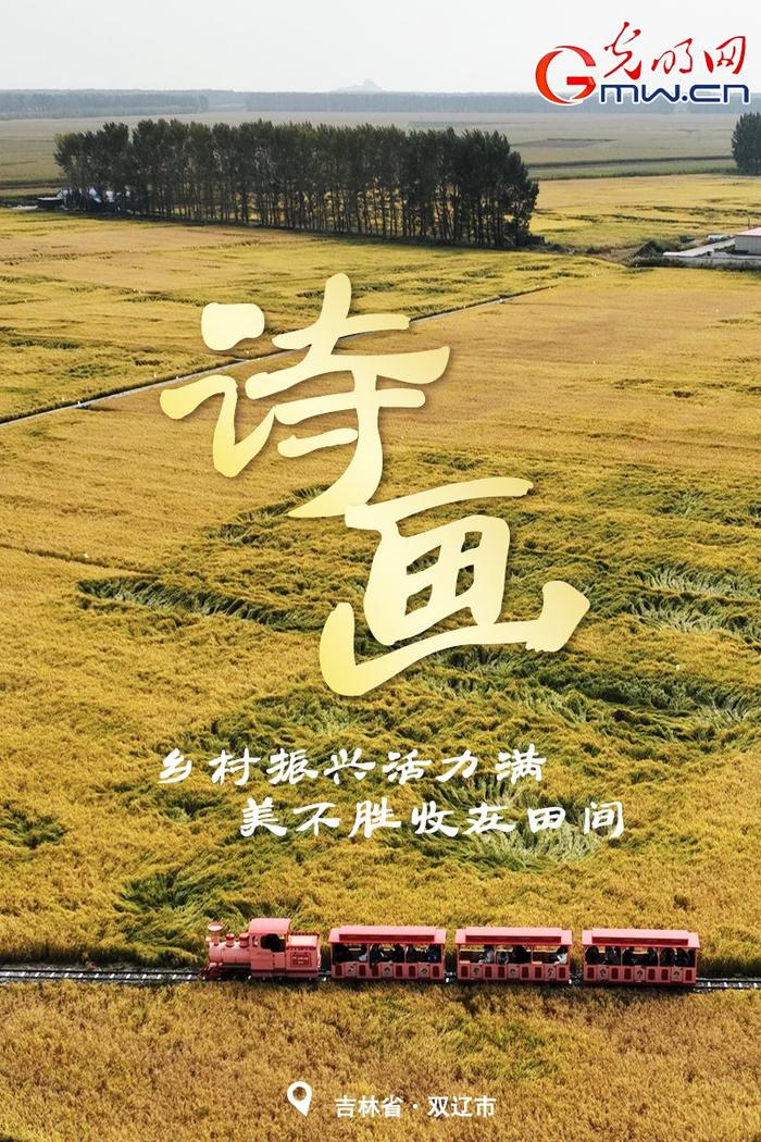 稻花香里说丰年｜吉林大地“丰”景好 金秋时节粮满仓