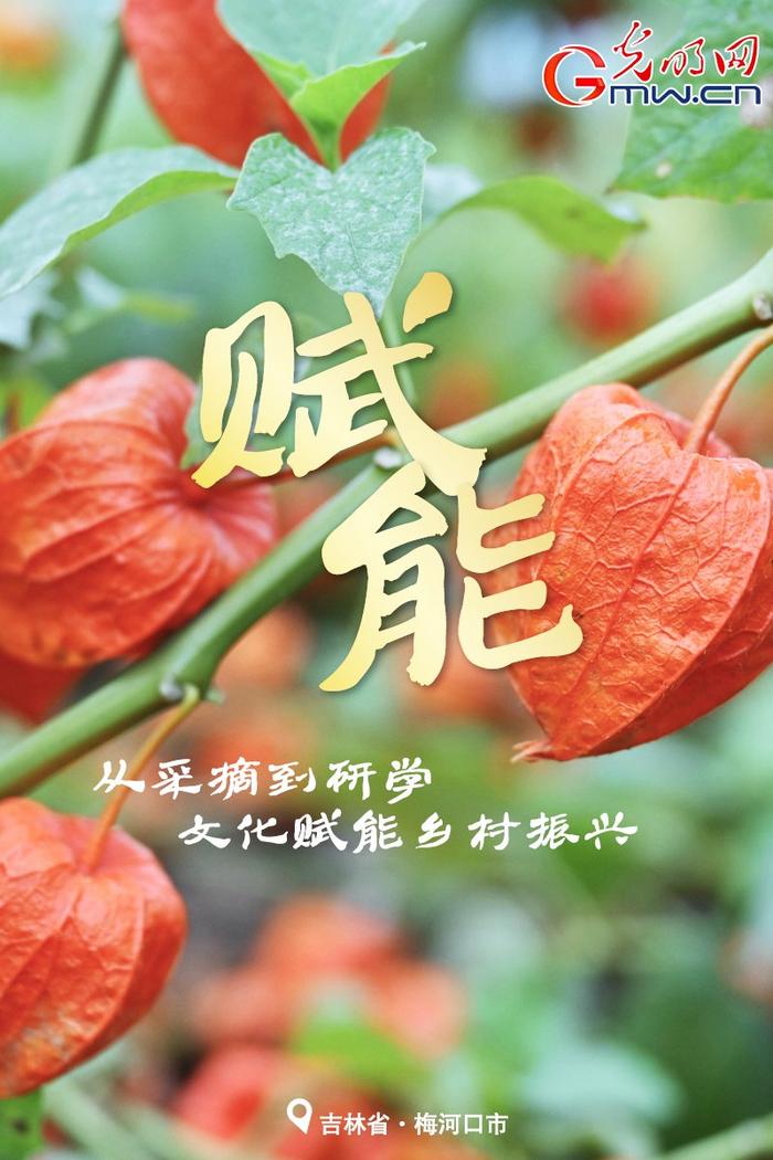 稻花香里说丰年｜吉林大地“丰”景好 金秋时节粮满仓