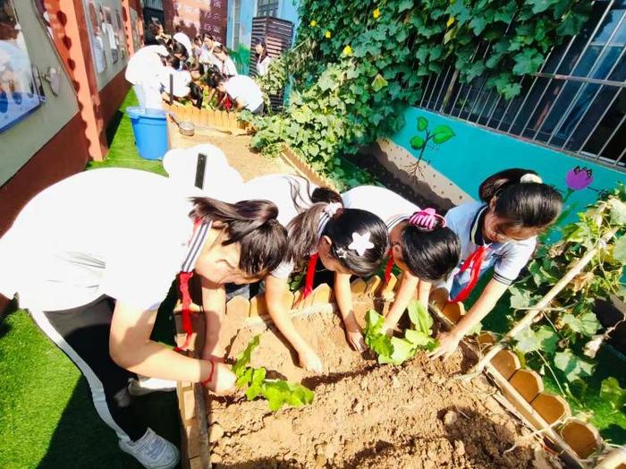 品秋耕之趣 享种植之乐——灞桥区东李小学开展2024年秋季种植活动