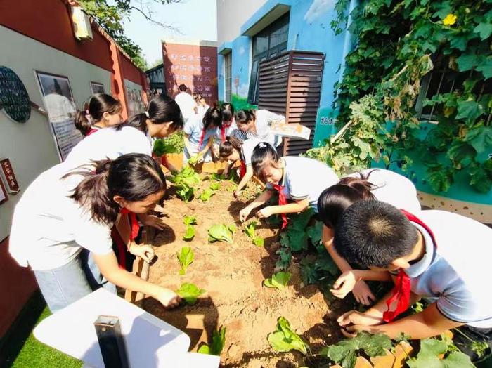 品秋耕之趣 享种植之乐——灞桥区东李小学开展2024年秋季种植活动