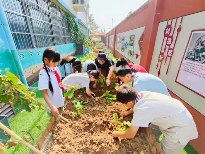 品秋耕之趣 享种植之乐——灞桥区东李小学开展2024年秋季种植活动