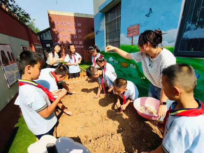 品秋耕之趣 享种植之乐——灞桥区东李小学开展2024年秋季种植活动